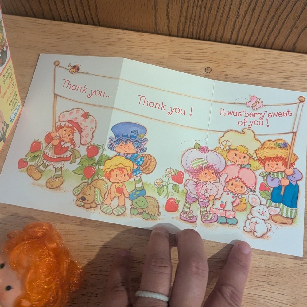 Vintage 1980 Strawberry Shortcake Apple Dumplin Doll w/ Box & Comb Kenner - Picture 9 of 16
